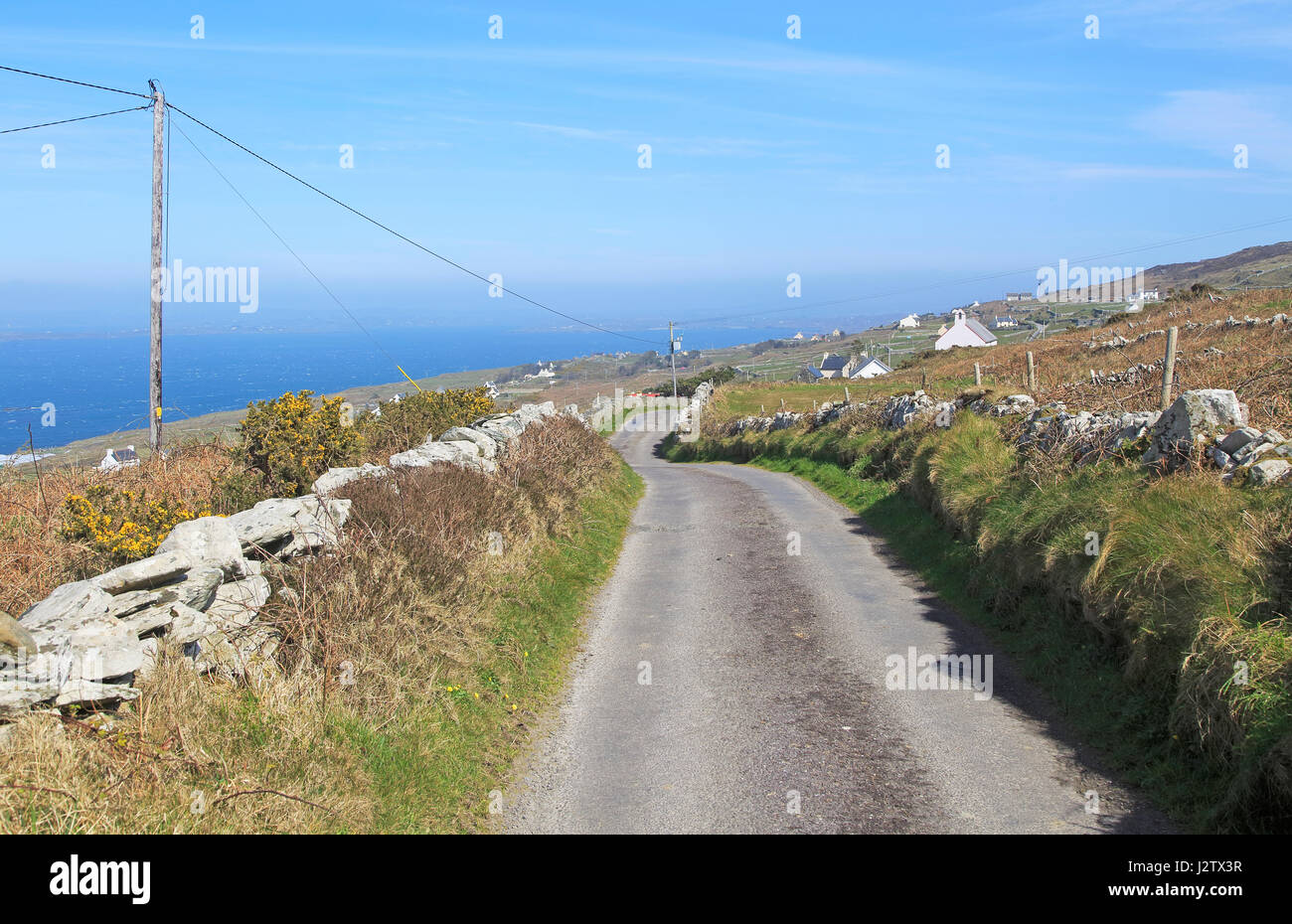 Strada lungo la costa occidentale dell'isola di Cape Clear, County Cork, Irlanda, Repubblica Irlandese Foto Stock