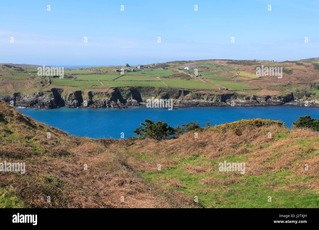 A sud della baia del porto, l'isola di Cape Clear, County Cork, Irlanda, Repubblica Irlandese Foto Stock
