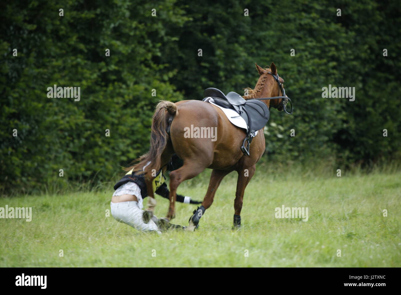 Salto del cavallo Foto Stock