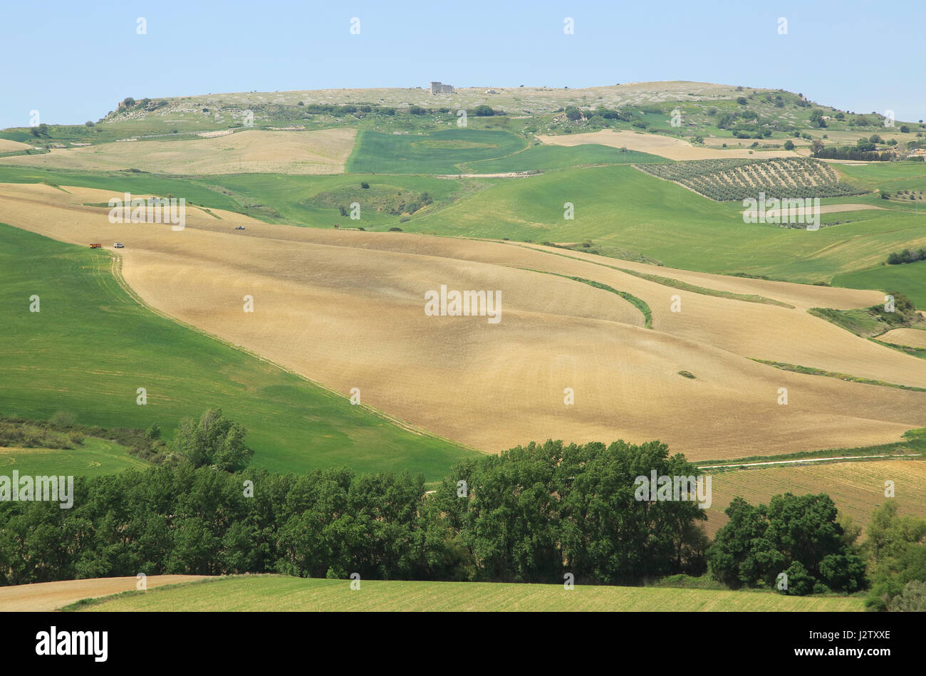 Terreno coltivato nella valle sotto Acinipo città romana sito Ronda la Vieja, Serrania de Ronda, Spagna Foto Stock