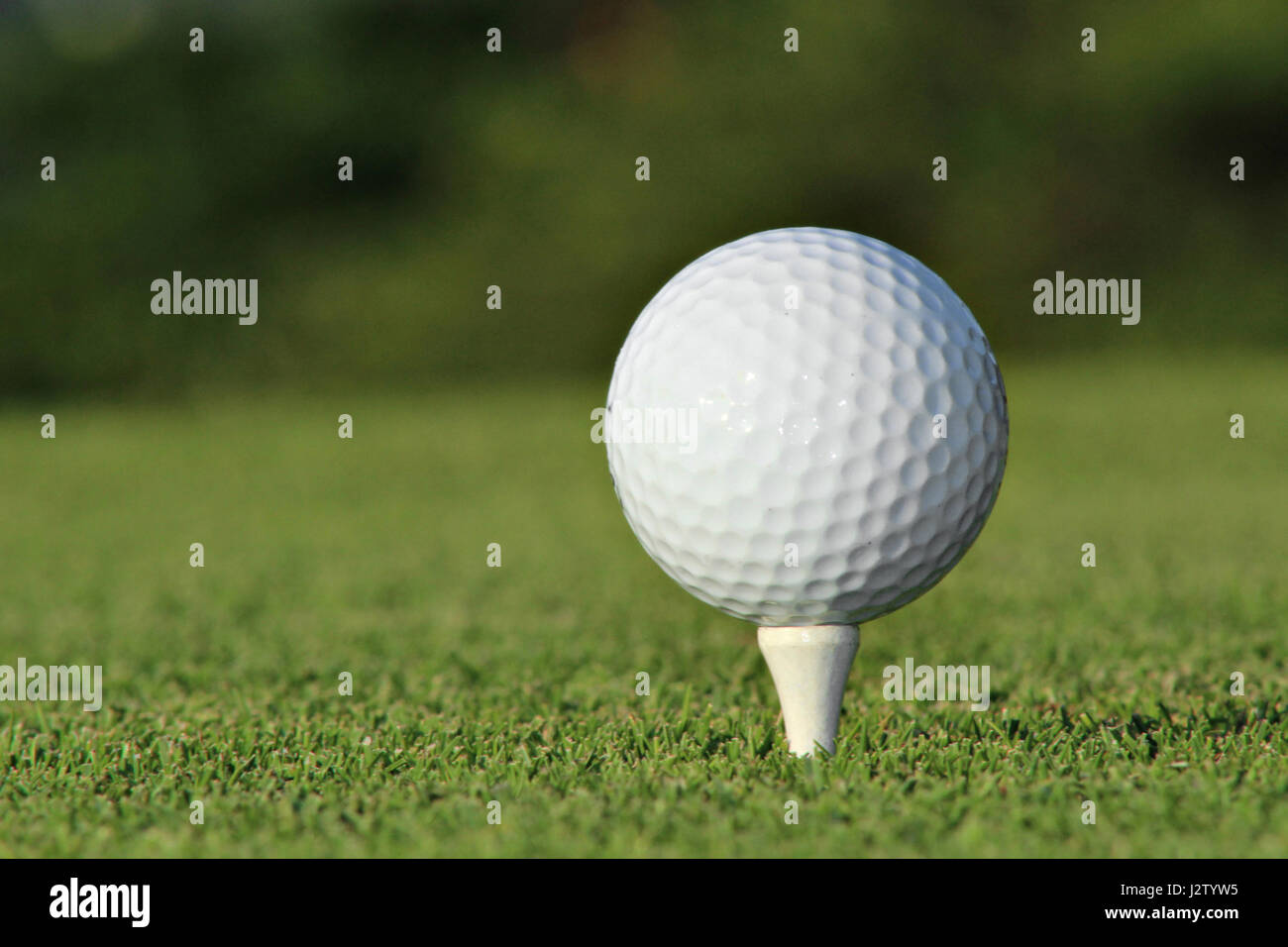 Una pallina da golf su un raccordo a T in corrispondenza di un country club. Foto Stock