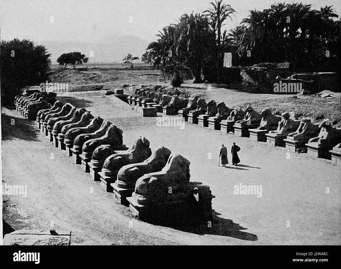 A Short History of the World fornisce una breve panoramica della storia globale, evidenziando i principali eventi e sviluppi in varie regioni, dai tempi antichi all'era moderna. Foto Stock