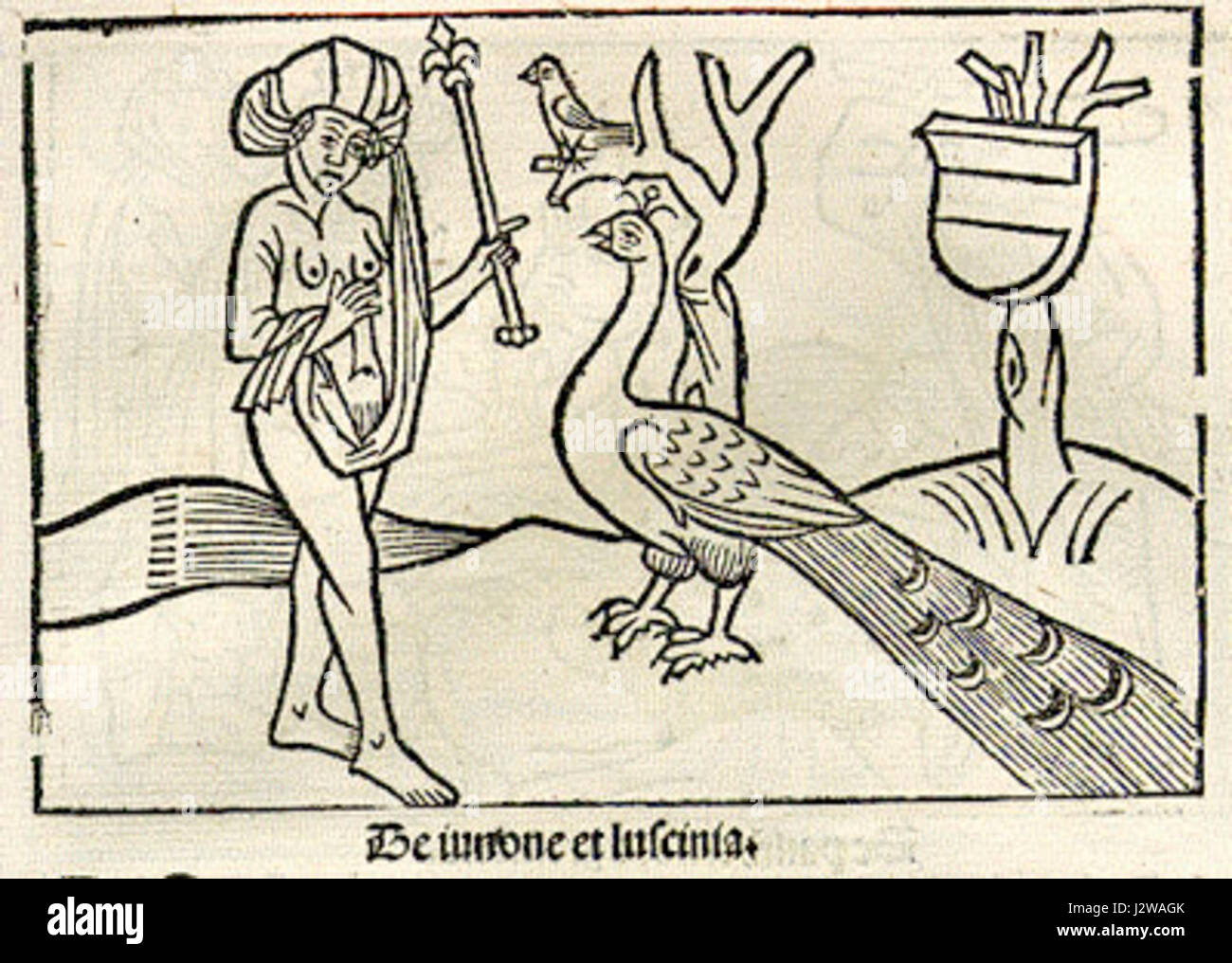 1501 edizione di Esopo 1 Foto Stock