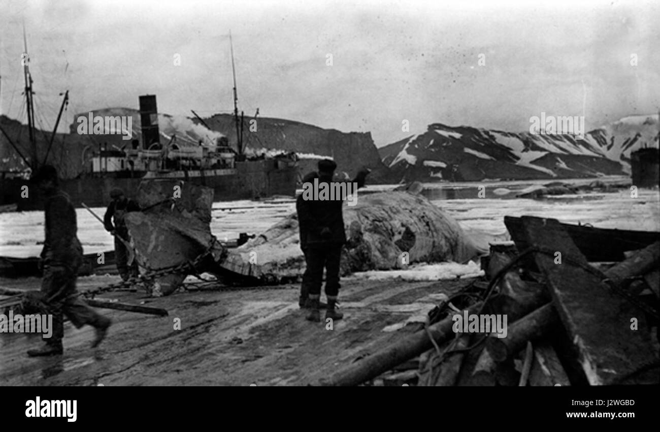 L'A-00608 Flenseplan landstasjon si riferisce a una storica stazione baleniera utilizzata durante l'era baleniera. La stazione è stata importante per la lavorazione dei prodotti di balena, giocando un ruolo chiave nel settore durante i suoi anni operativi. Foto Stock