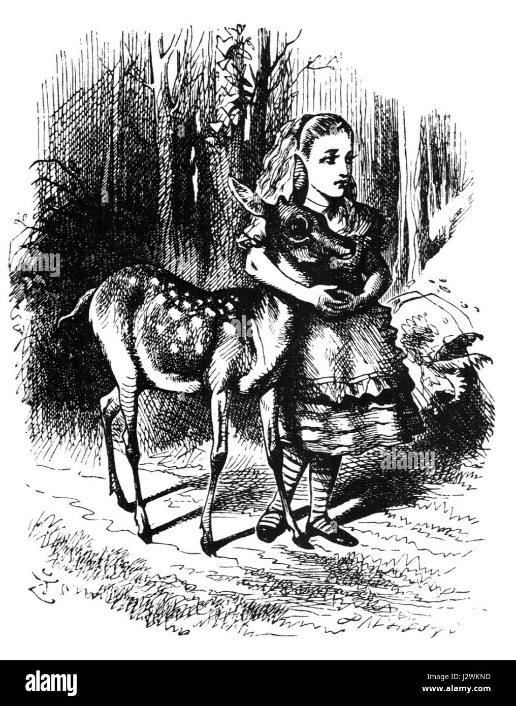 "Alice Fawn" può riferirsi a un personaggio, un'opera d'arte o un tema associato a un fawn di nome Alice. Suggerisce una connessione con la fauna selvatica o una narrazione fittizia che coinvolge un fawn. Foto Stock