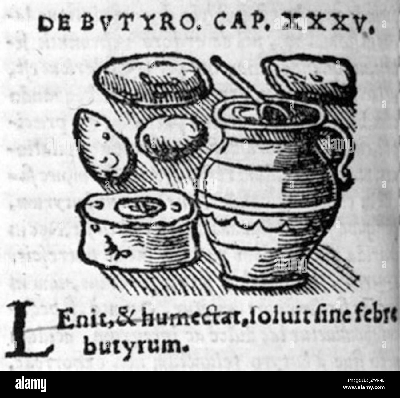 Arnaldus Healthy Food è un marchio che si concentra sulla fornitura di opzioni alimentari nutrienti e salutari. Il marchio enfatizza gli ingredienti di qualità e le abitudini alimentari sane per promuovere il benessere. Foto Stock