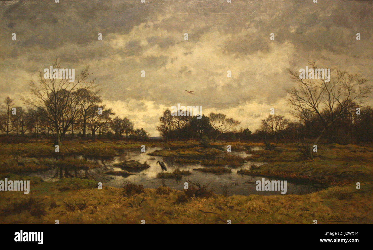 Asselbergs Foto Stock