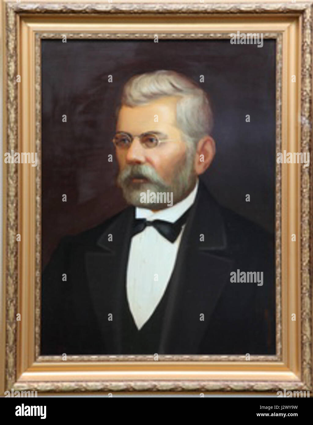 Dmitrij Ivanovich Bagalej era uno storico russo, noto per le sue opere sulla storia russa e Ucraina. I suoi contributi accademici allo studio dell'Europa orientale nel XIX secolo furono significativi nel plasmare la narrazione storica della regione. Foto Stock