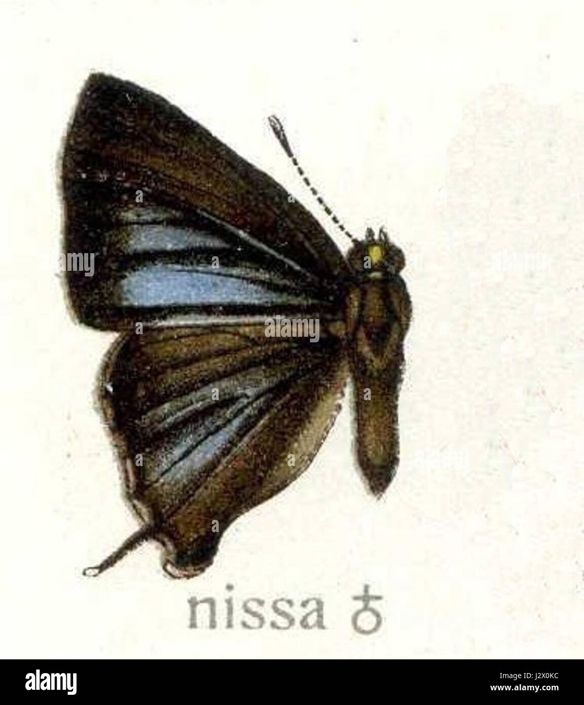 Sembra essere un'immagine etichettata "Cbimg087", probabilmente un riferimento a un file specifico o a un numero di immagine. Il contenuto o l'oggetto dell'immagine non è chiaro dal solo titolo. Foto Stock