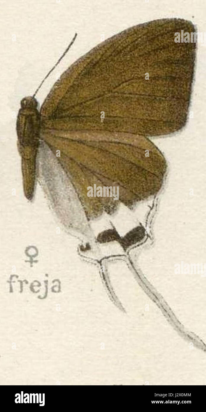 Aimag093 si riferisce a una regione geografica o amministrativa, possibilmente all'interno di un più ampio contesto di pianificazione regionale o divisioni politiche. Potrebbe rappresentare una circoscrizione o un'area rilevante per la governance locale della zona. Foto Stock