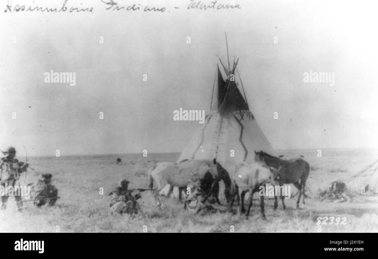 Assinniboine si riferisce probabilmente a un fiume o a una regione del Canada, o forse a un riferimento culturale al popolo Assiniboino, un gruppo indigeno del Nord America, evidenziandone il significato storico e geografico. Foto Stock