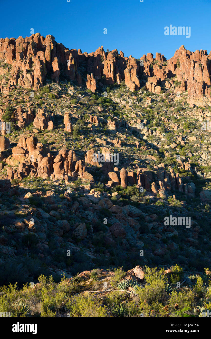 Vista da Peralta Trail, superstizione deserto, Tonto National Forest, Arizona Foto Stock