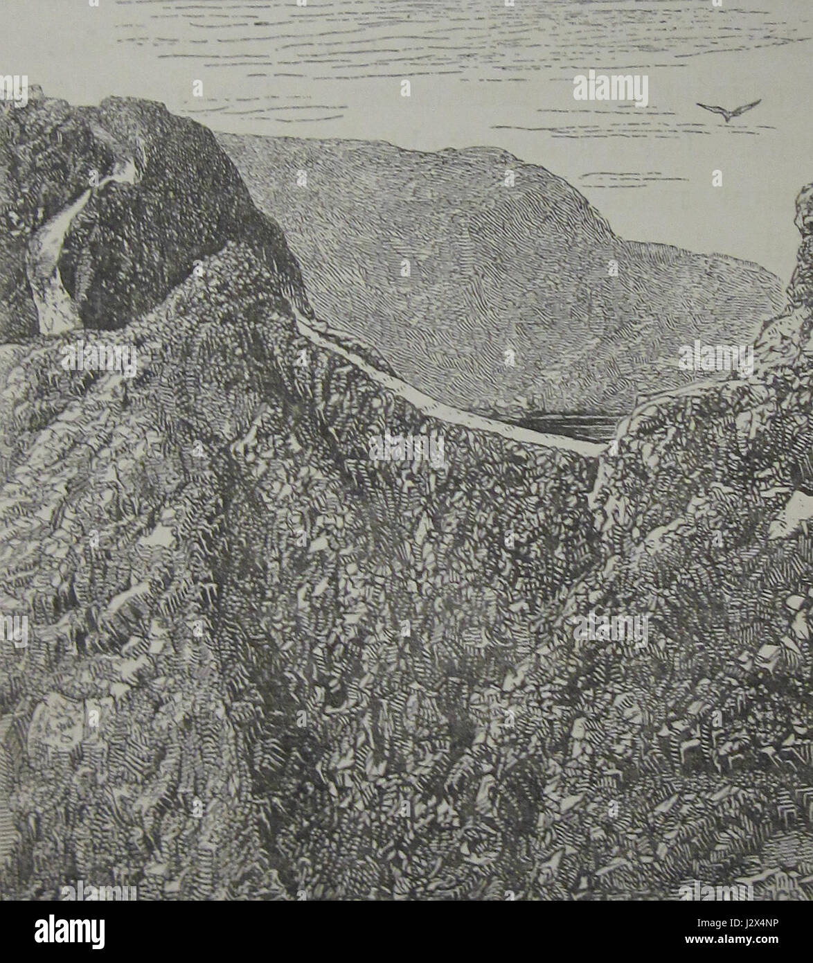 "Black's Guide to the Channel Islands" (1870) di David Thomas Ansted è una guida turistica completa che fornisce descrizioni dettagliate delle Isole del Canale. Include informazioni sulla geografia, la storia, i monumenti e le pratiche culturali delle isole, offrendo un'istantanea della regione alla fine del XIX secolo. Foto Stock