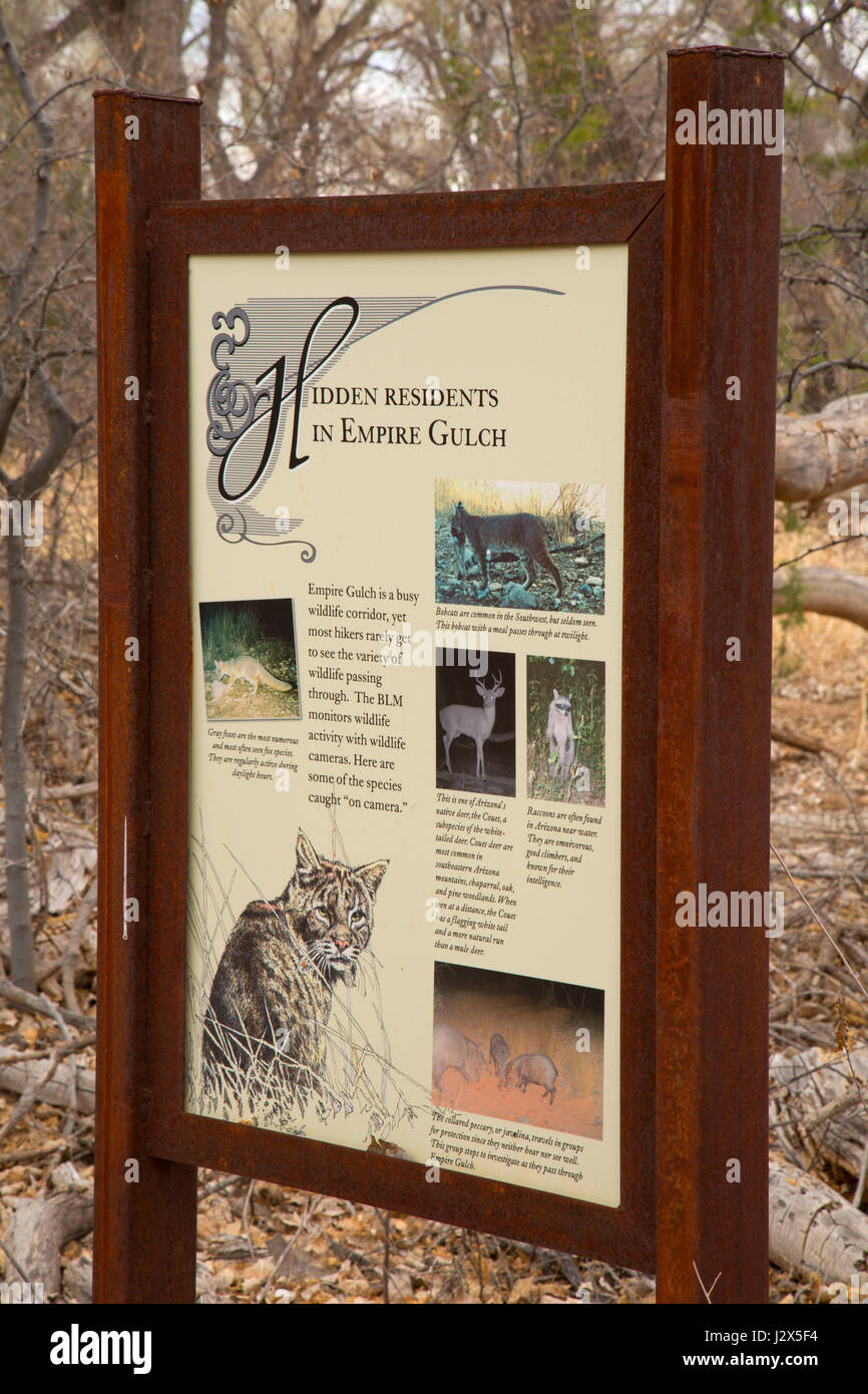 Heritage Discovery Trail Interpretive bordo, Las Cienegas National Conservation Area, Arizona Foto Stock