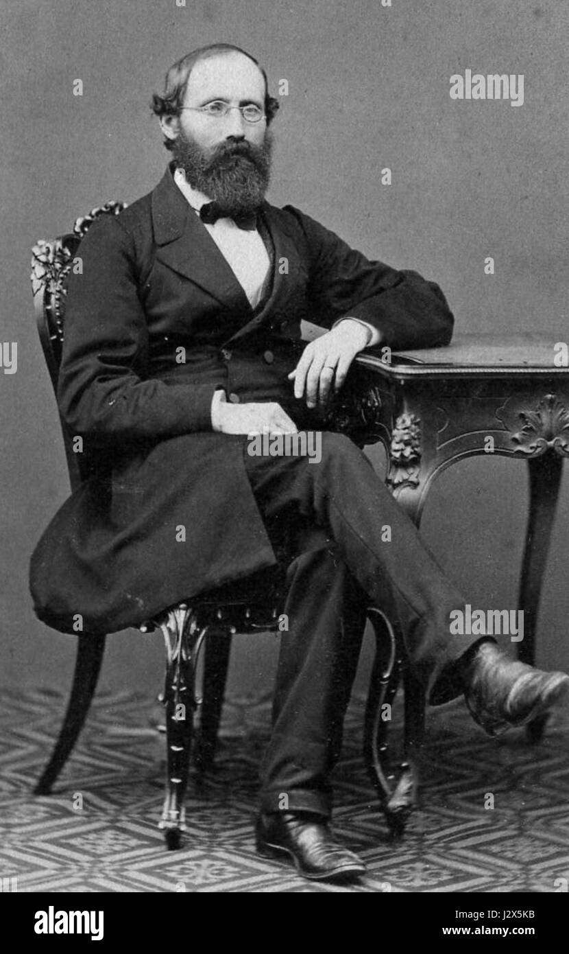 Bernhard Riemann, un rinomato matematico tedesco, diede contributi significativi ai campi dell'analisi, della geometria e della teoria dei numeri, in particolare attraverso l'ipotesi di Riemann e la geometria riemanniana. Foto Stock