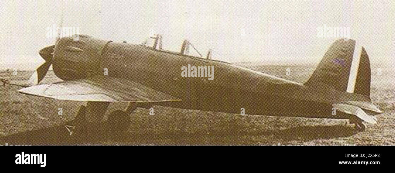 Il Caproni Vizzola F.5 è un velivolo italiano, noto per il suo ruolo nella storia dell'aviazione. Fu utilizzato durante la metà del XX secolo, contribuendo allo sviluppo della tecnologia aeronautica e degli aerei militari italiani durante un periodo cruciale nella storia dell'aviazione. Foto Stock