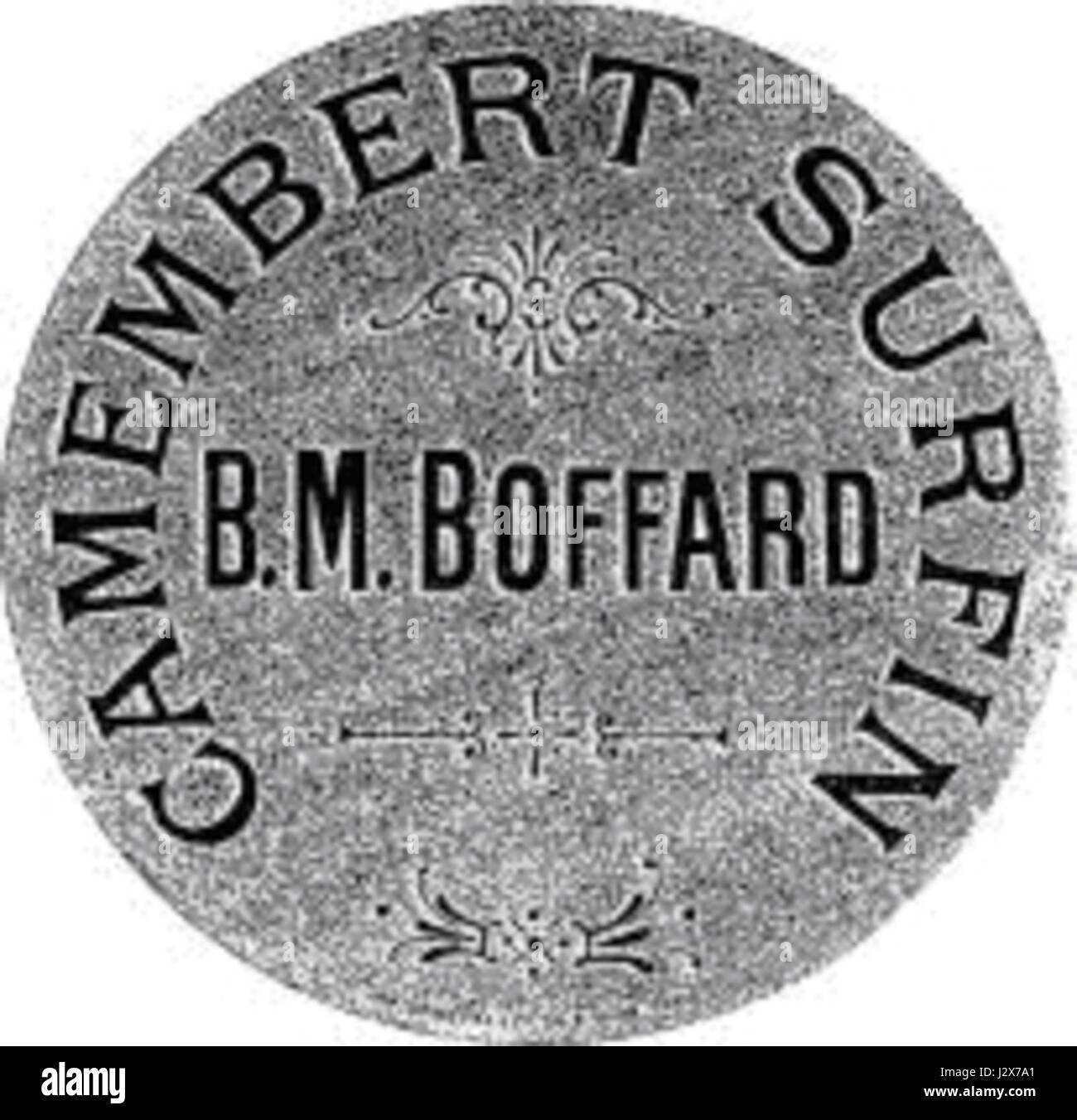 Camembert surfin bmboffard Foto Stock