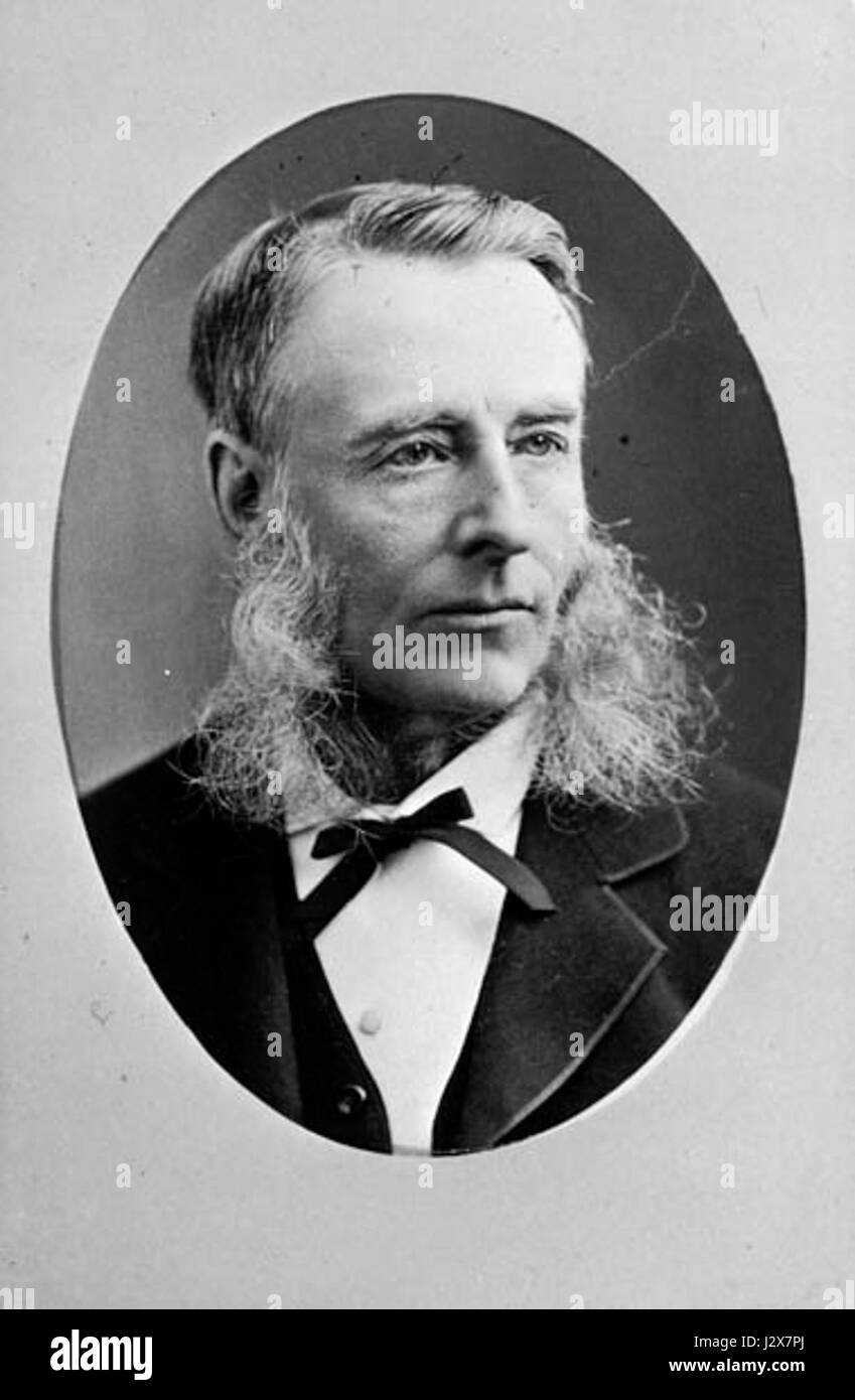 Alpheus Todd è stato uno studioso e storico canadese, noto per il suo ampio lavoro sulla storia del Canada, in particolare sulla storia politica e lo studio del governo canadese durante il XIX secolo. Foto Stock