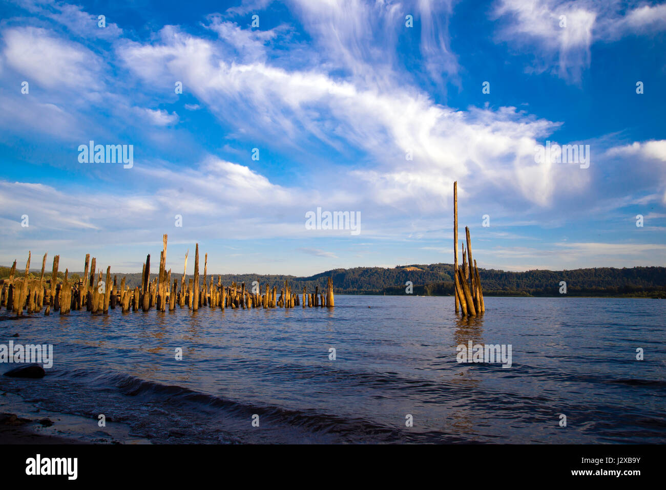 Marcio pali di legno del molo vecchio fuori dell'acqua sul fiume Columbia come un simbolo di tutto il passato di tempo passati. Paesaggio vista simbolico Foto Stock