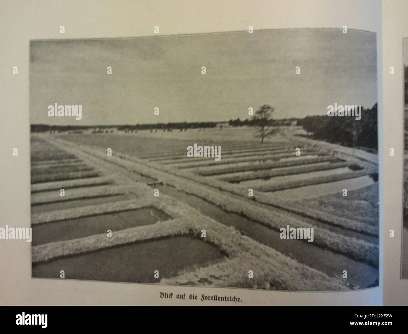 Blick auf die Forellenteiche si traduce in "Vista dei laghetti di trota" in inglese. Questo si riferisce a una vista panoramica del paesaggio che mostra stagni di trote, spesso associati a sereni ambienti naturali e acquacoltura. La vista potrebbe catturare l'ambiente tranquillo di un allevamento ittico o di un habitat naturale per la trota. Foto Stock