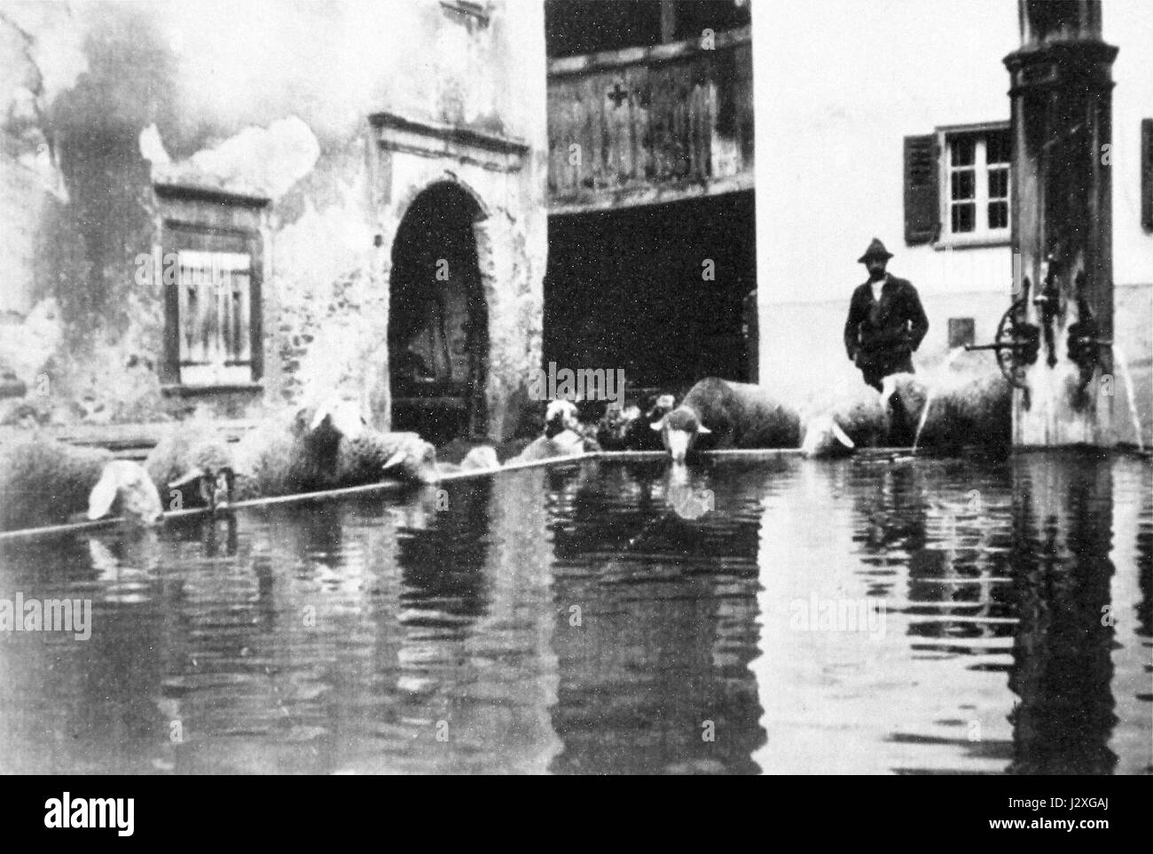 Brunnen Valendas 1910 Schafe Foto Stock