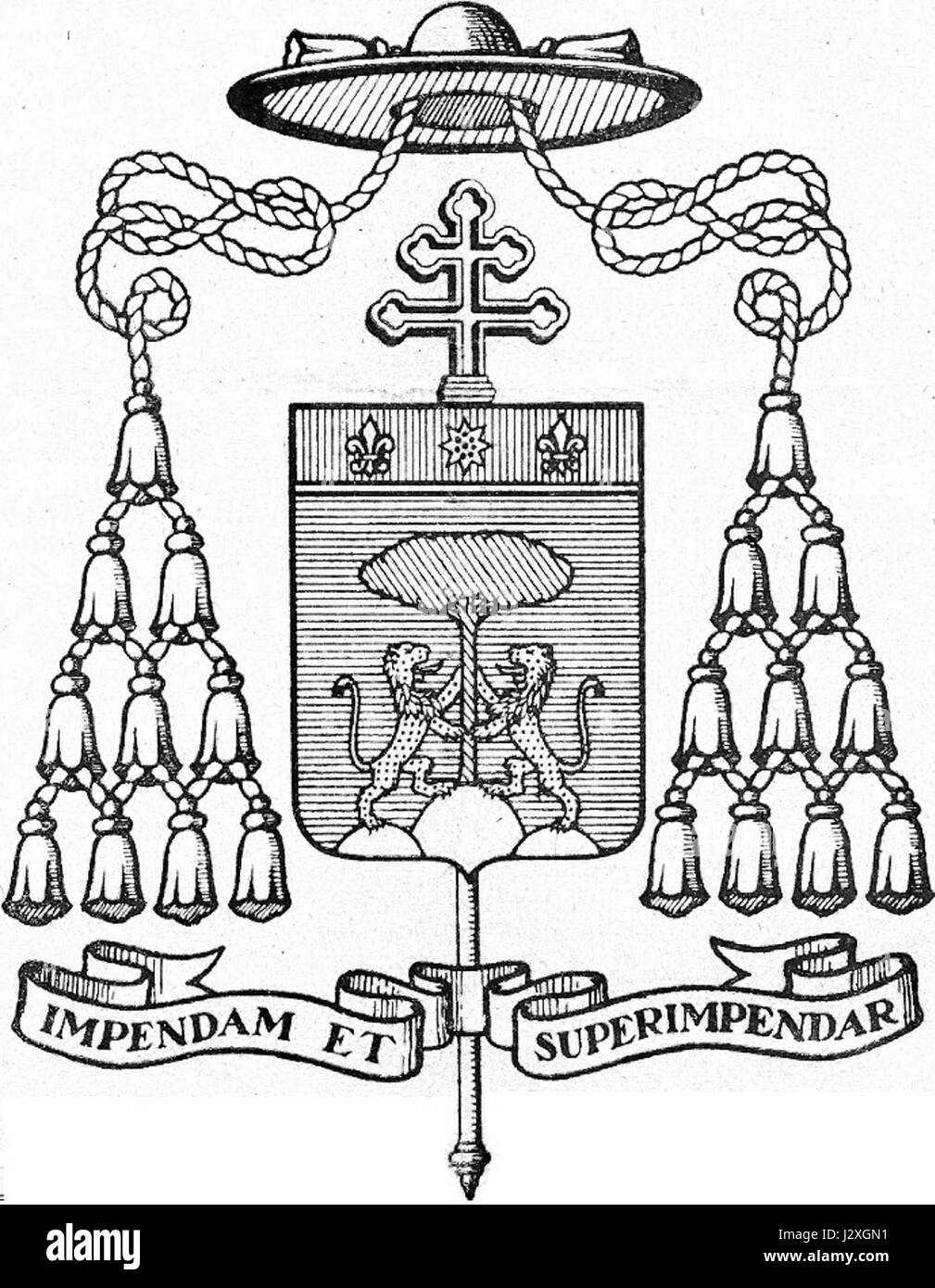 Giuseppe Paupini - stemma arcivescovile - particolare Foto Stock