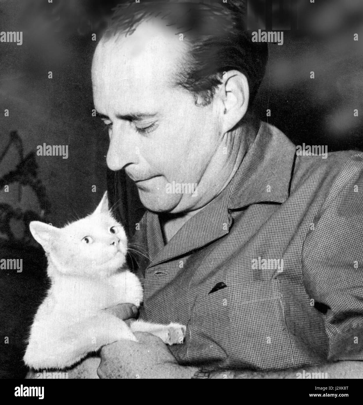 Rossellini gatta potrebbe riferirsi a un'opera del regista italiano Roberto Rossellini, che potrebbe coinvolgere un tema gatto o animale nella sua filmografia. Per una descrizione dettagliata sarebbe necessario un ulteriore contesto in merito ai lavori. Foto Stock