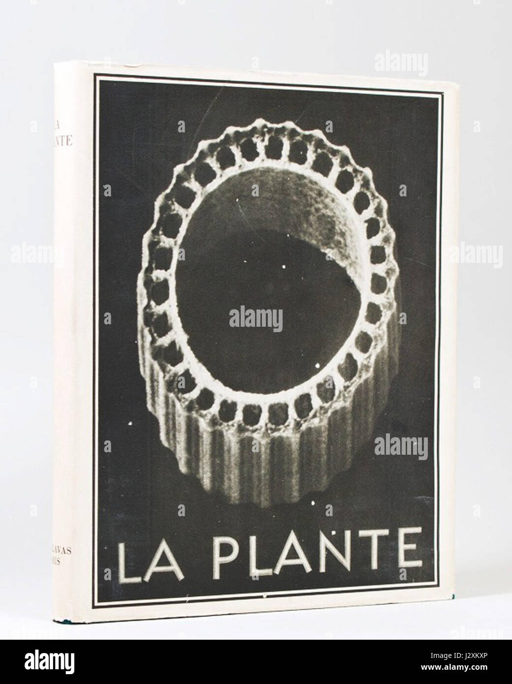 "La Plante" di Karl Blossfeldt, pubblicato nel 1929, è uno studio fotografico delle forme vegetali. Il lavoro di Blossfeldtâ cattura gli intricati dettagli delle piante, sottolineandone i motivi artistici e la bellezza strutturale. Foto Stock