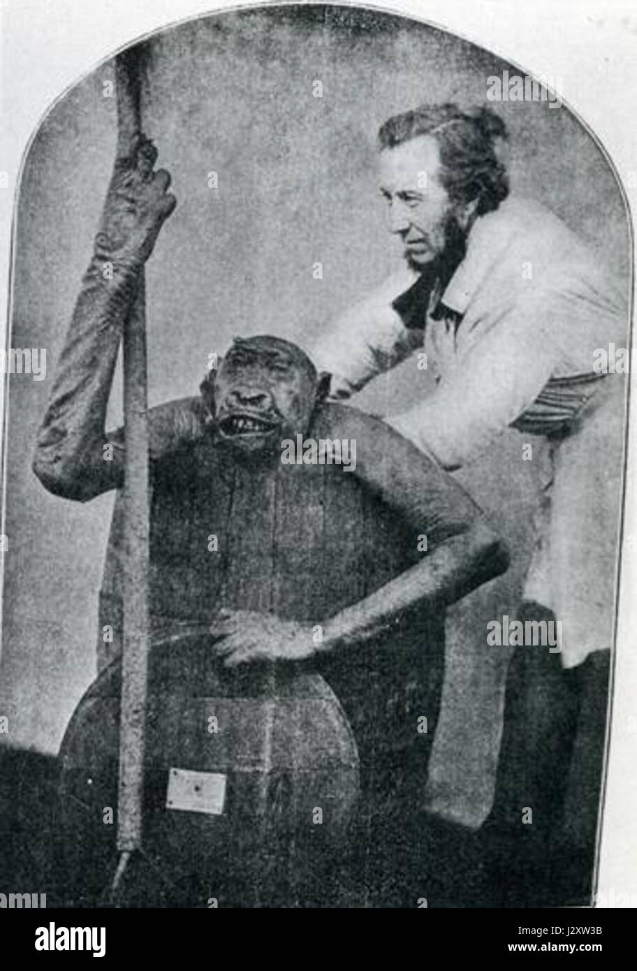 Questa fotografia o illustrazione storica probabilmente raffigura Bartlett, una figura rinomata, con un gorilla defunto. Può essere correlato a studi scientifici o mostre di fauna selvatica all'inizio del XX secolo. Foto Stock