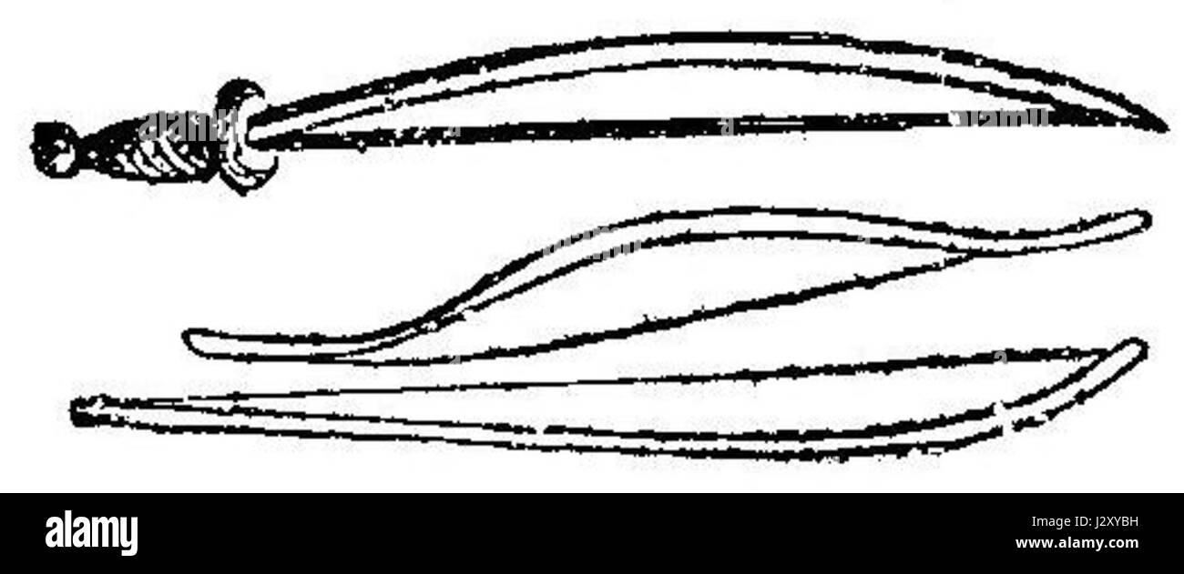 Disegni di prua nel XIII secolo Foto Stock