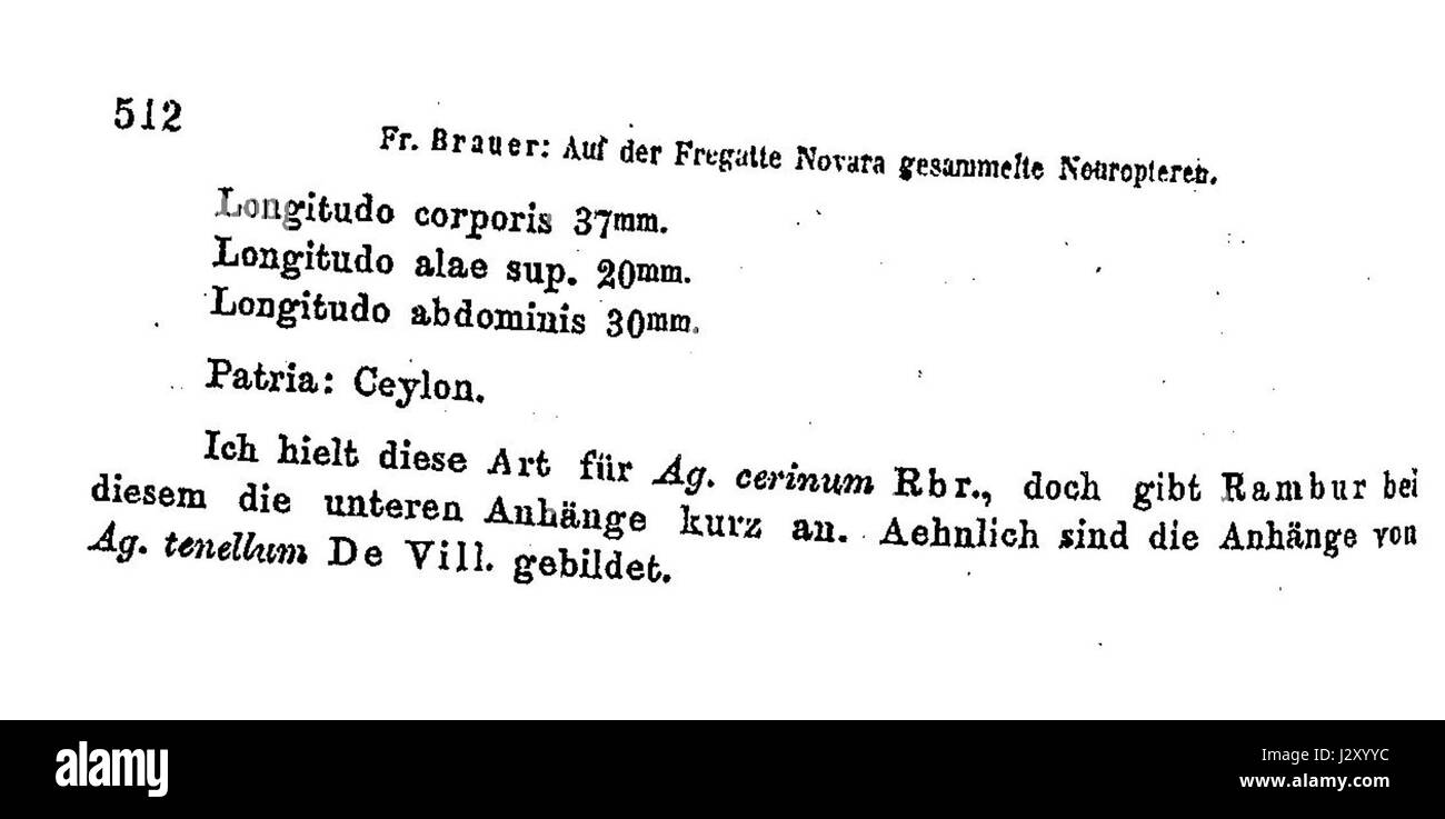 Un riferimento al periodo compreso tra il 1865 e il 1871 nell'opera di Brauer, probabilmente legato a un artista o a una figura storica specifica. Questo periodo è importante per comprendere gli sviluppi culturali o artistici durante quegli anni. Foto Stock