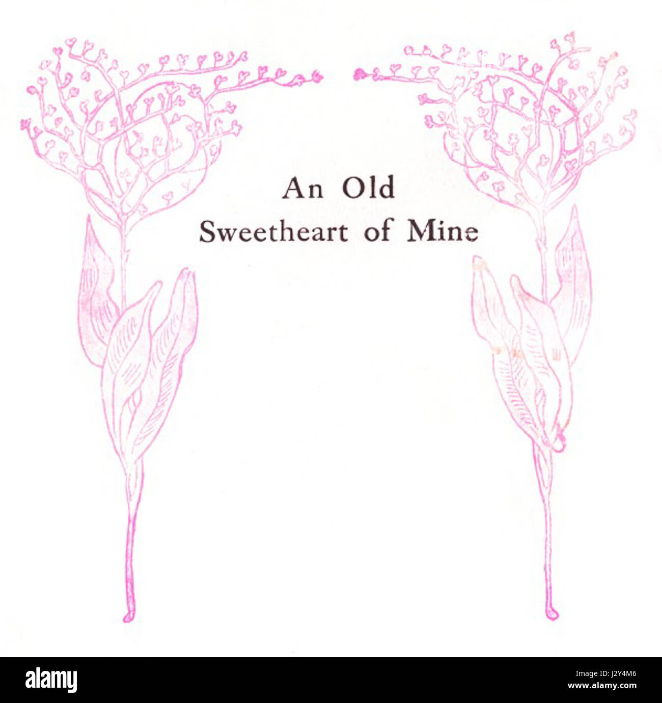 An Old Sweetheart of Mine è una canzone scritta ed eseguita dall'artista statunitense Bette Midler. Pubblicata nel 1989, la canzone riflette temi nostalgici di amore perduto e ricordi del passato, un segno distintivo dello stile musicale emotivo e teatrale di Midler. Foto Stock
