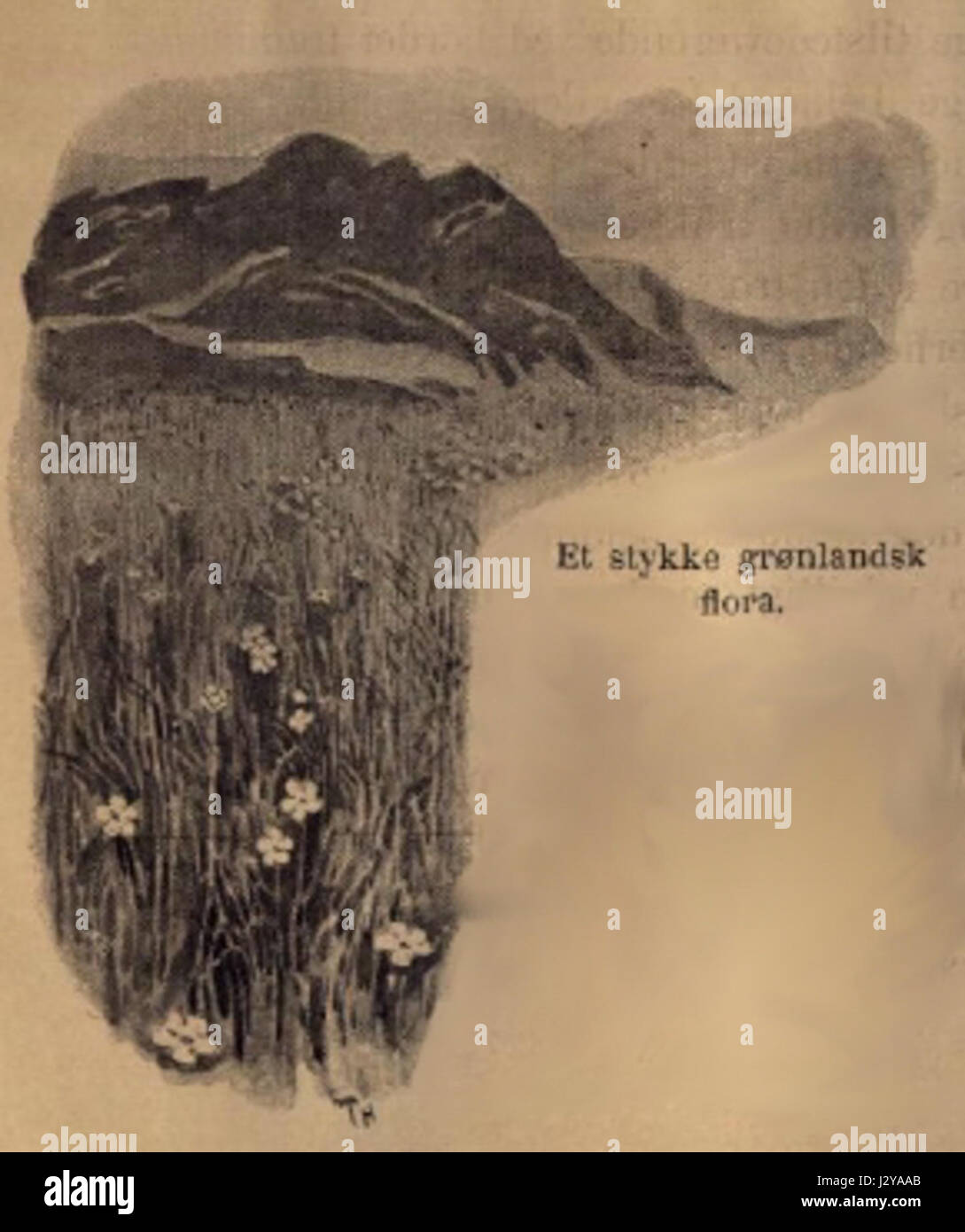 Astrup-BNN-p060 si riferisce a un'opera d'arte o pubblicazione dell'artista Astrup, probabilmente associata all'arte norvegese o ai paesaggi naturali, probabilmente incentrata sulla natura o sulla vita rurale. Foto Stock