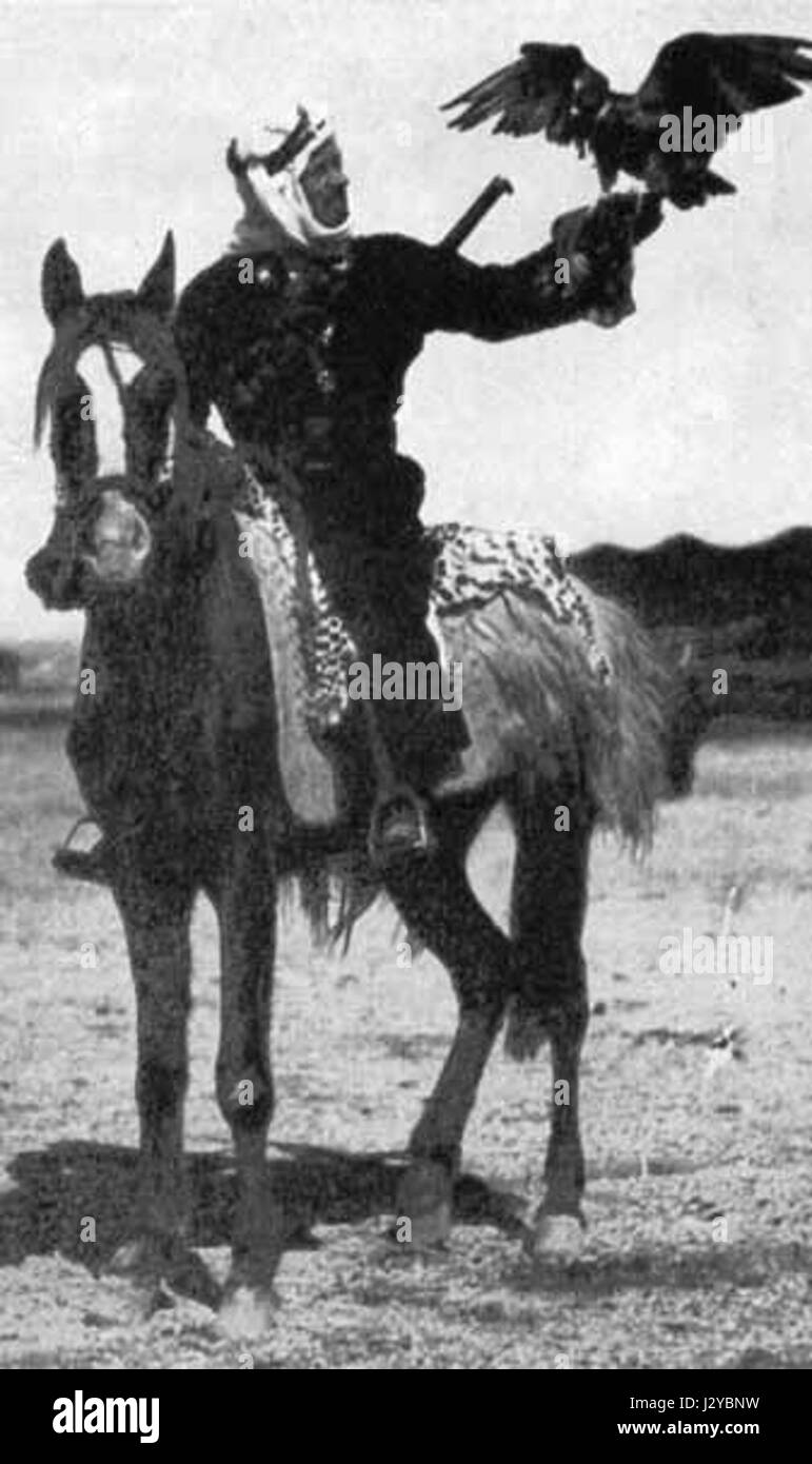 Carl Raswan era una figura notevole nell'allevamento di cavalli arabi, noto per il suo lavoro nel preservare e promuovere i cavalli arabi di razza pura attraverso i suoi programmi di allevamento. Foto Stock