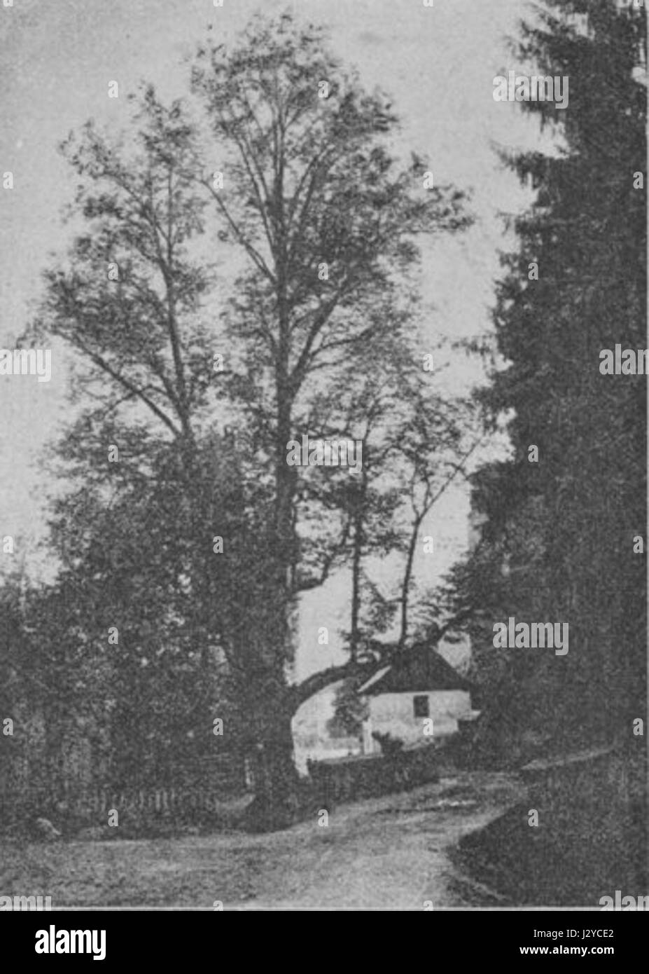 Questa frase si traduce in "percorso da Sternberka a Sladek di Sternov". Si riferisce a un percorso o a un viaggio specifico tra luoghi, eventualmente legati a esplorazioni storiche o geografiche. Foto Stock