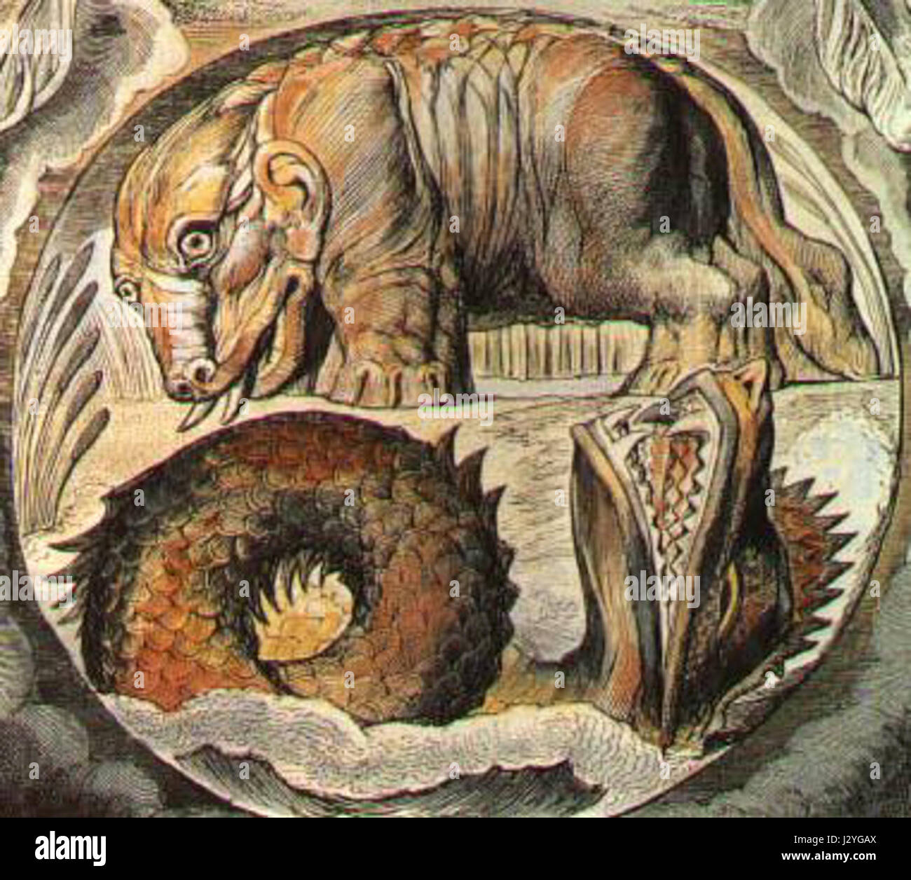 Uno studio comparativo di due creature marine bibliche, Behemoth e Leviathan, esplorando i loro significati simbolici e rappresentazioni. Foto Stock