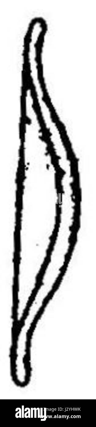 Il *disegno ad arco nell'VIII secolo* si riferisce ad un'antica raffigurazione del tiro con l'arco, che mostra l'uso di archi nella guerra o nella caccia durante l'VIII secolo. L'illustrazione mette in evidenza le prime tecniche di armamento. Foto Stock