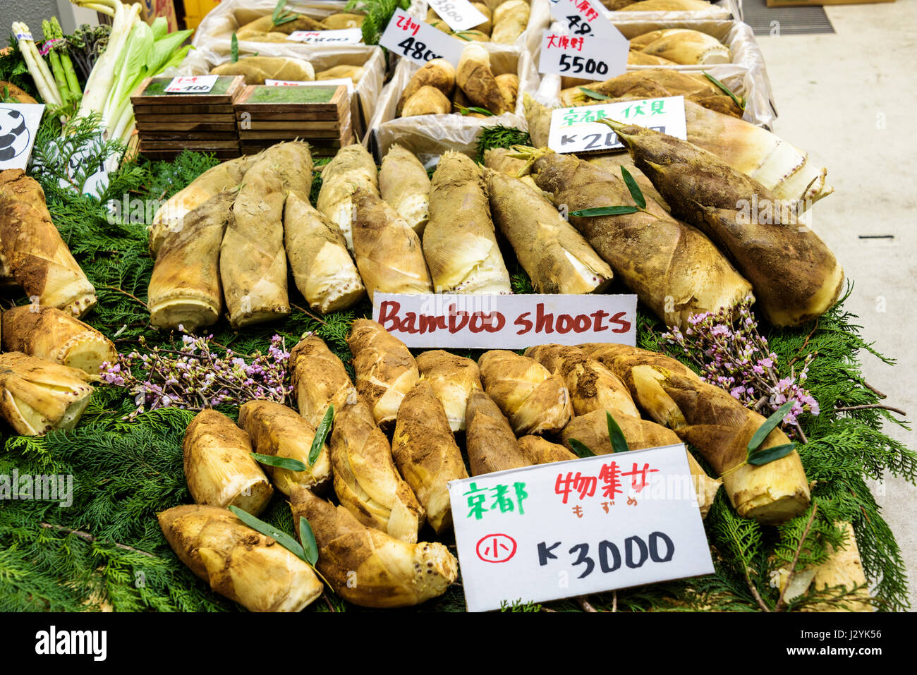 Germogli di bambù o i germogli in vendita presso il mercato Tsukiji. Foto Stock