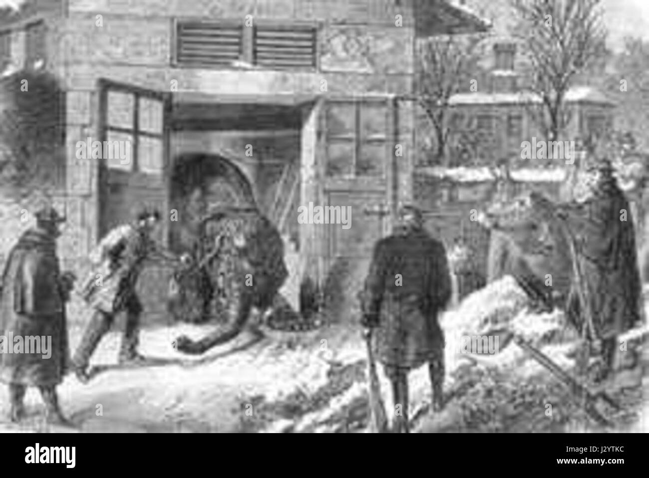 Questo si riferisce alle stelle gemelle Castor e Polluce, che sono le due stelle più luminose della costellazione Gemini. Queste stelle hanno una significativa importanza culturale e astronomica, spesso presenti nella mitologia e nella scienza. Foto Stock