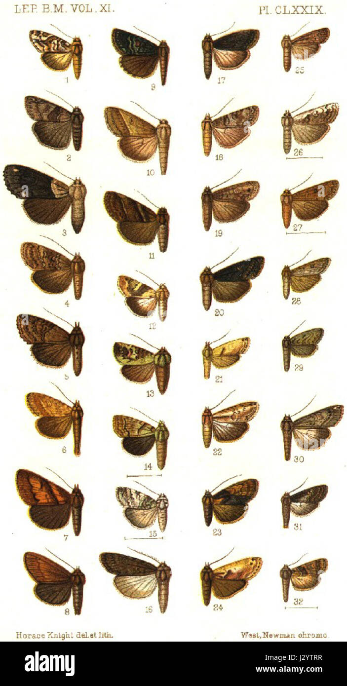 Questo è un riferimento a un numero di targa (CLXXIX) del catalogo britannico Museumâ€™s, che probabilmente illustra un artefatto specifico o un elemento storico. Fa parte di una collezione dettagliata mantenuta dal museo per riferimento accademico. Foto Stock