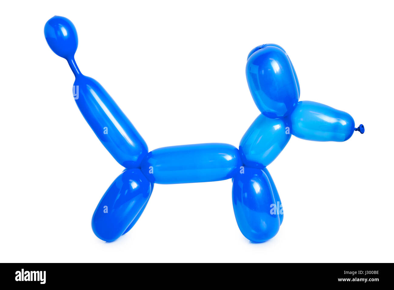 Semplice blu a palloncino cane animale su bianco Foto Stock