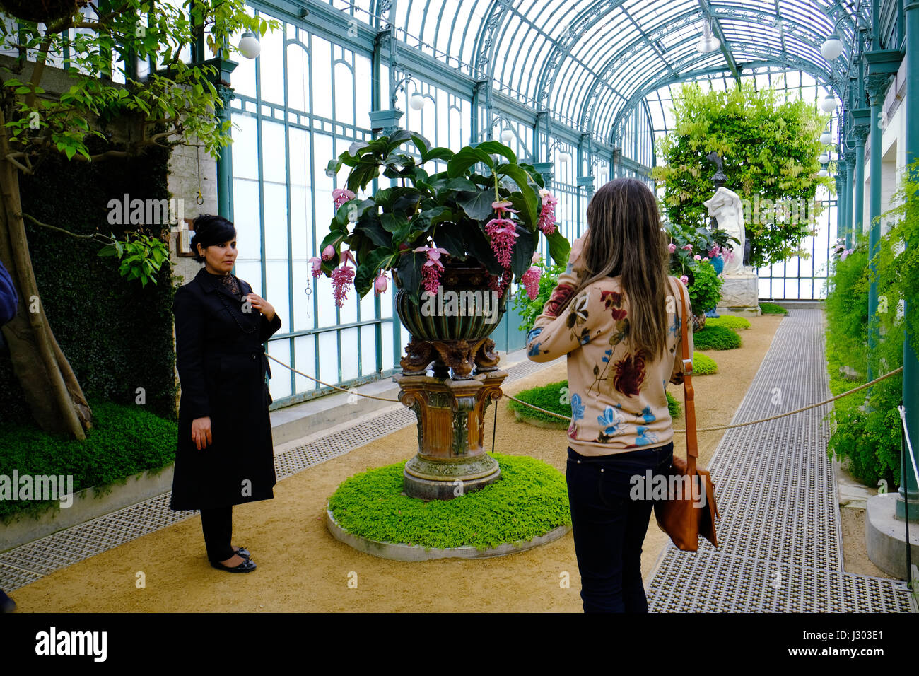 Vistor scattare una fotografia in Serre Reali di Laeken, Bruxelles Foto Stock