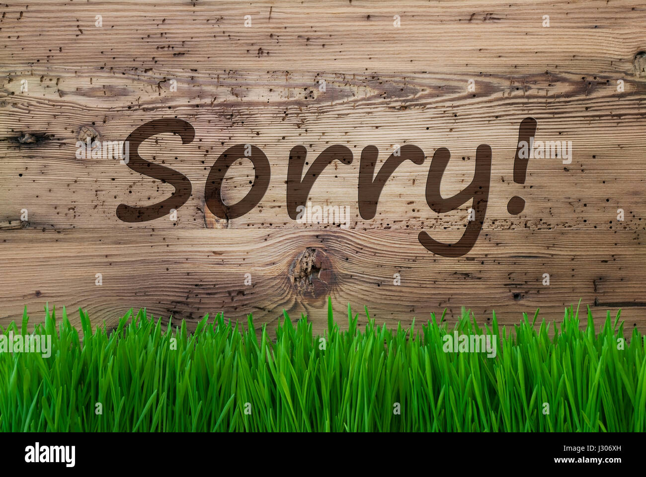 Testo in inglese siamo spiacenti. Stagione Primavera biglietto di auguri. Invecchiato in legno con sfondo Gras. Foto Stock