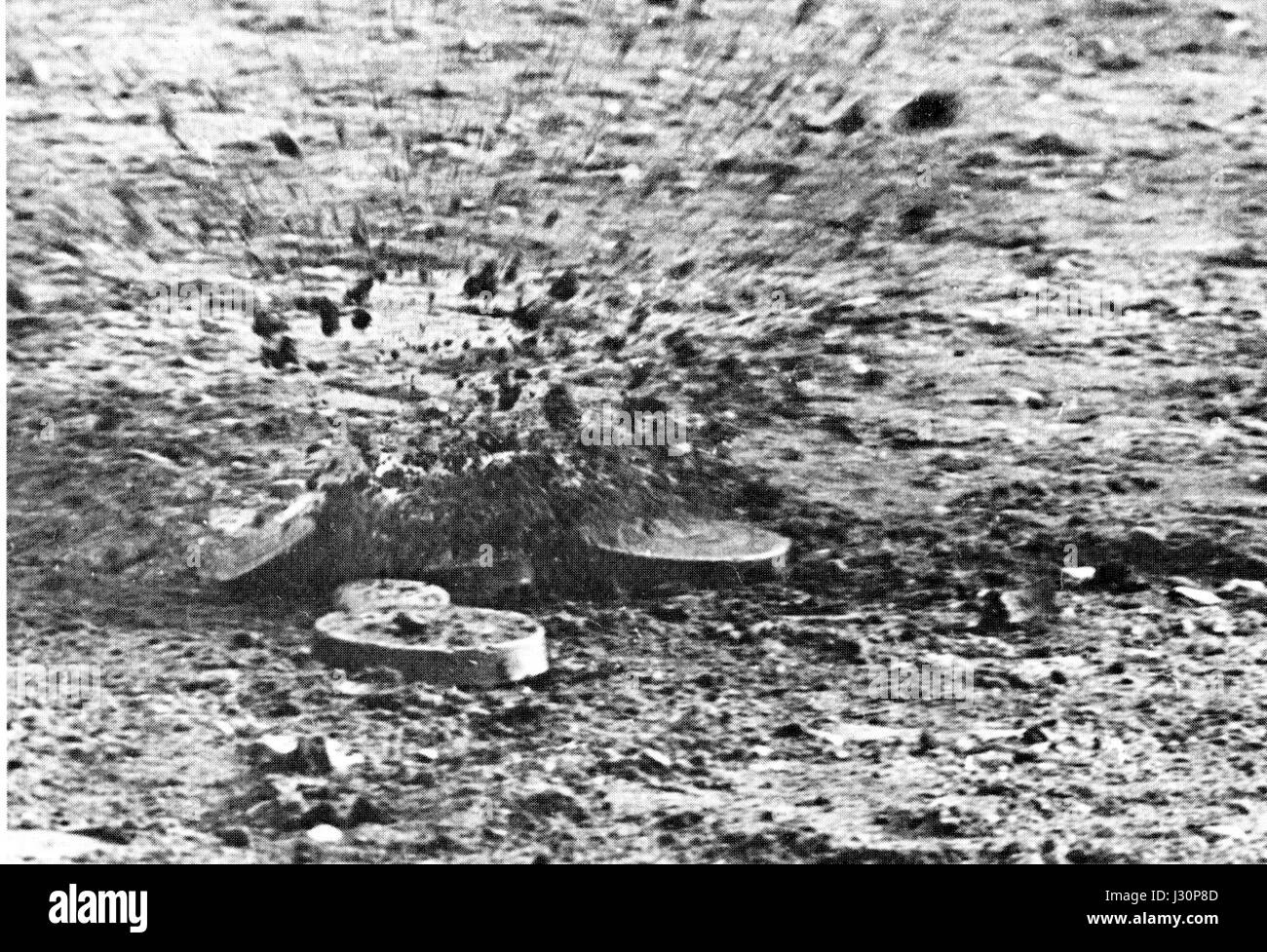 Il Palet valdostano è un piatto tradizionale italiano della Valle d'Aosta, caratterizzato da vari tipi di carne, patate e verdure, tipicamente cotte a fuoco lento per creare uno stufato ricco e sostanzioso. Riflette il patrimonio culinario della regione, noto per l'uso di ingredienti locali e sapori rustici. Foto Stock