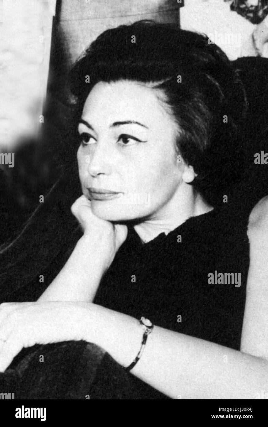 FloraCarabella rappresenta un marchio o un'espressione artistica, probabilmente una fusione di natura e design, incentrata sulla fusione di elementi floreali con rappresentazioni creative nell'arte o nella moda. Foto Stock