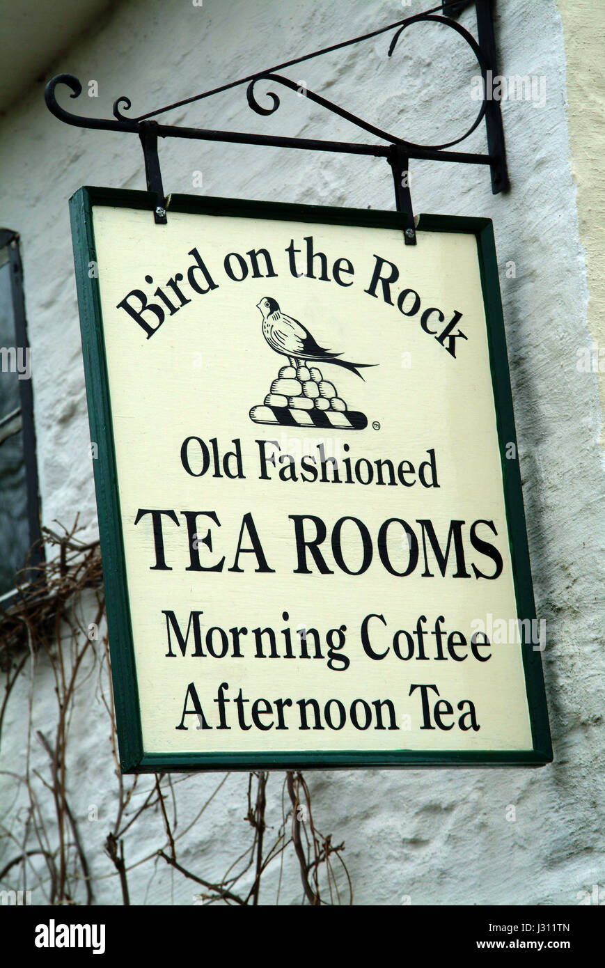 Uccello sulla roccia di sale da tè, Clungunford nello Shropshire, proprietario con Doug Hawkes che serve un tradizionale stile dispari sale da tè Foto Stock