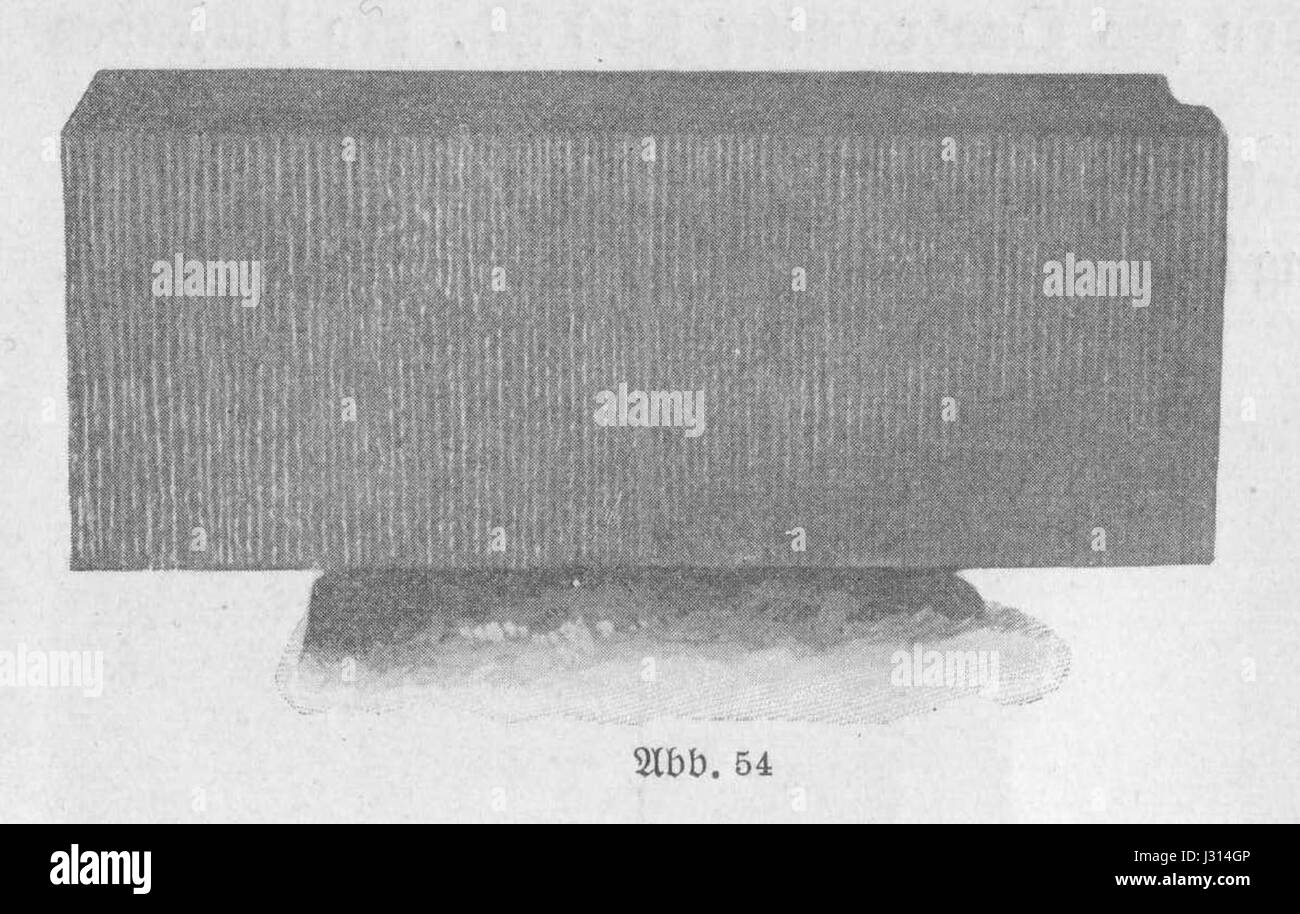 Burrer 1911, ABB. 054 Foto Stock