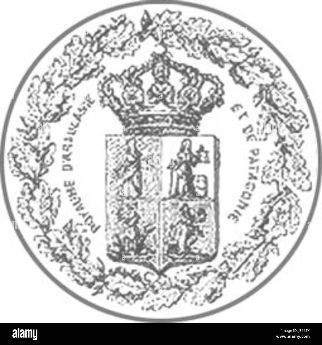 Araucania coa Foto Stock