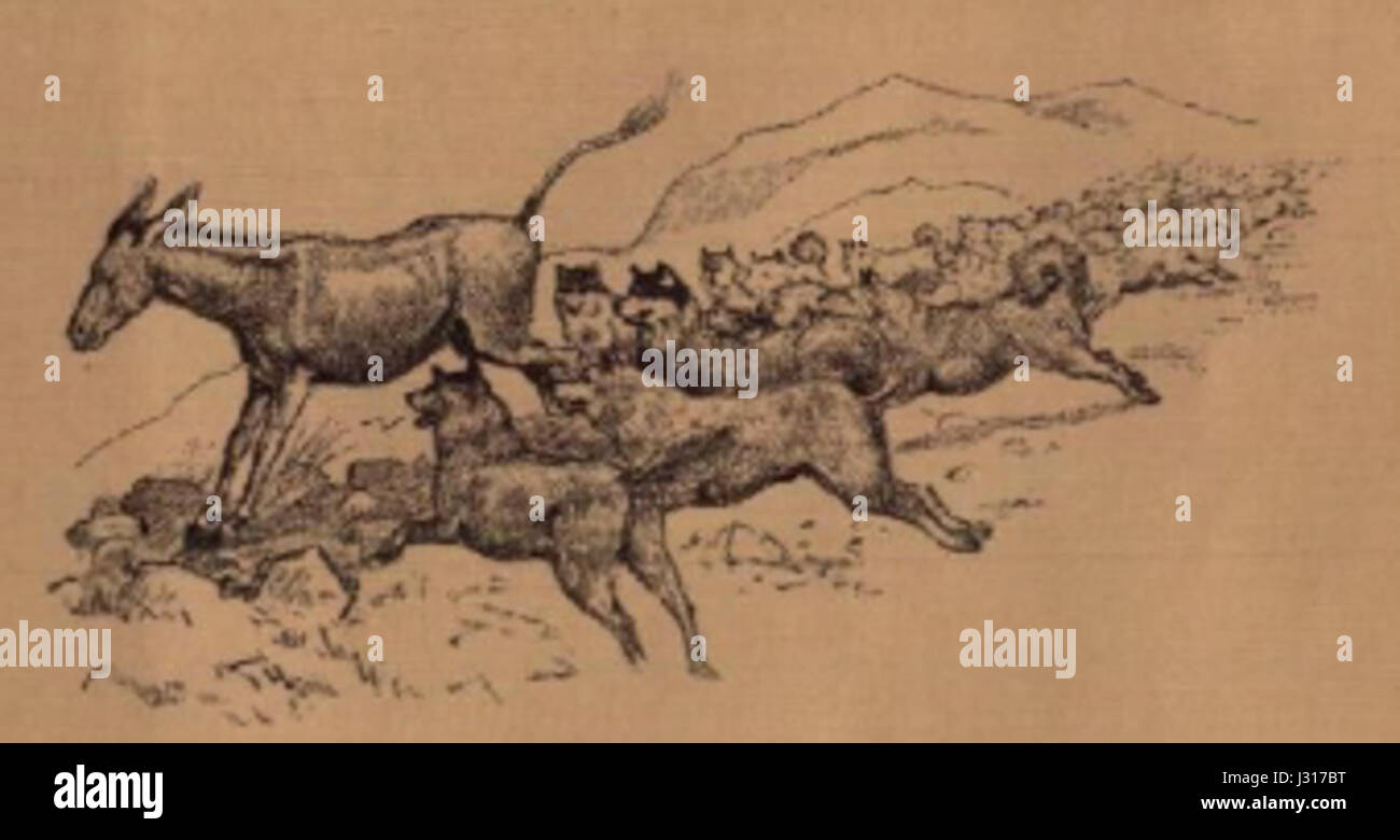 Questo riferimento riguarda probabilmente una pubblicazione o uno studio relativo ad Astrup, una figura chiave nell'arte norvegese, probabilmente da un'opera della Galleria nazionale norvegese (BNN). I contributi di Astrup alla pittura paesaggistica sono ben documentati. Foto Stock