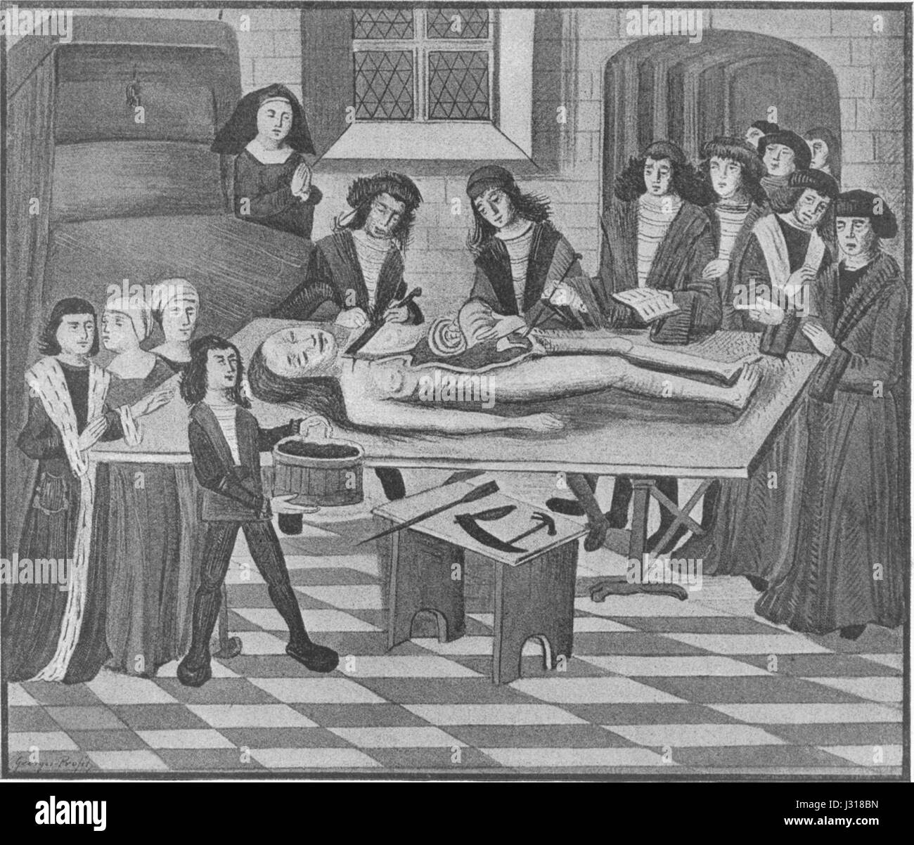 Anatomia xiv secolo Foto Stock